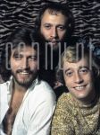 28-11-1975 Bee Gees, Barry, Maurice and Robin Gibb at Memphis Hotel in Amsterdam.

[keywords]Posed, Headshot, Eyecontact, Smiling[/keywords]
